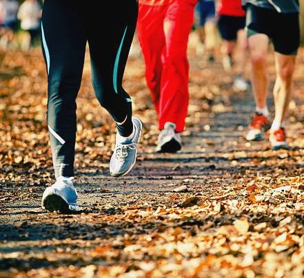 Running Tours with Locals - active exploring and socializing
